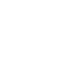 disabledico_max